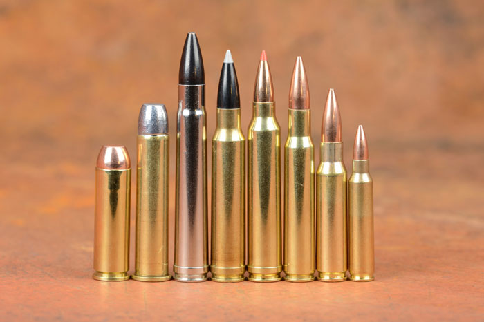 NRA Women  Ammo Basics: Common Bullet Types