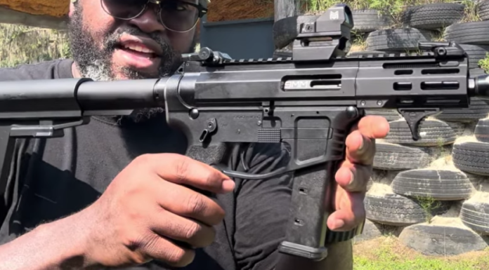 A Budget-Priced American Made AR9?
