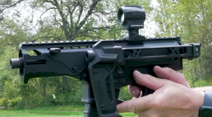 Taurus Releases Budget PDW